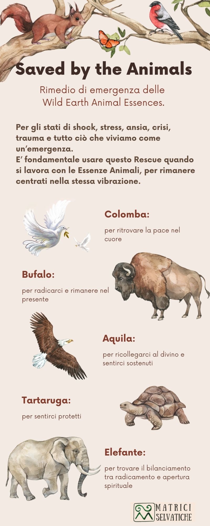 RESCUE REMEDY DELLE ESSENZE ANIMALI