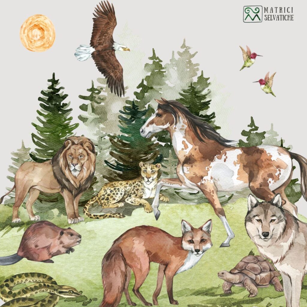 Le essenze animali, come quelle floreali, funzionano tramite la loro vibrazione: