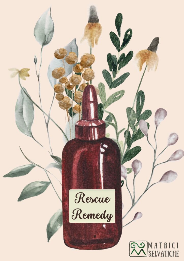 E’ una miscela di Fiori di Bach, creata dal Dott. Edward Bach stesso, per le situazioni di emergenza o disagio come pronto soccorso emotivo. Si usa in tutte quelle situazioni di emergenza che provocano disagio, paura estrema, shock, panico e stordimento.