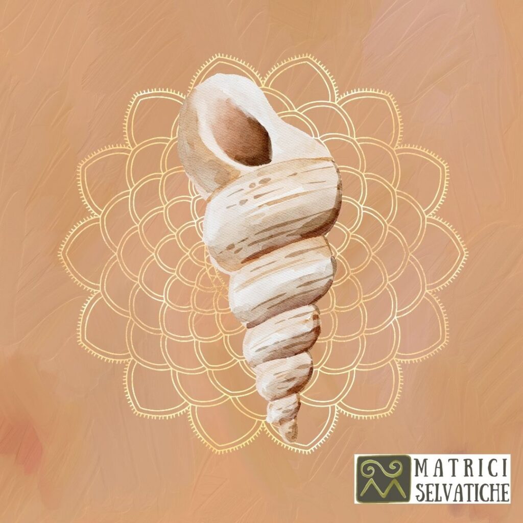 i numeri sono il linguaggio del divino